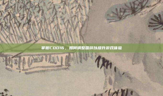 掌握COD16,如何调整国旗以提升游戏体验