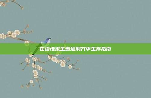 在绝地求生雪地洞穴中生存指南