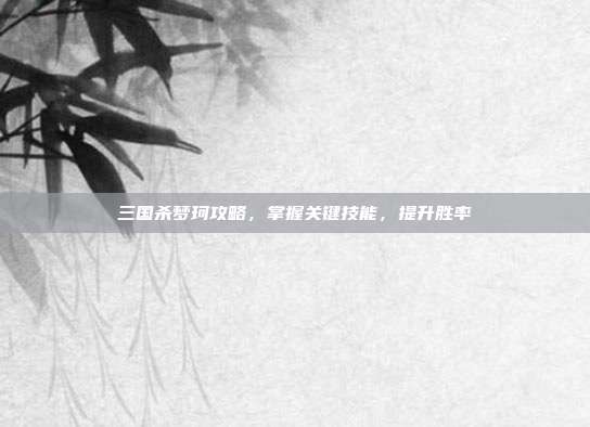 三国杀梦珂攻略,掌握关键技能,提升胜率
