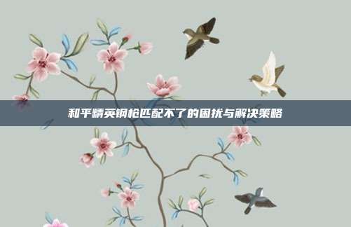 和平精英钢枪匹配不了的困扰与解决策略