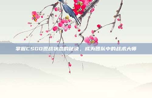 掌握CSGO观战状态的秘诀,成为团队中的战术大师