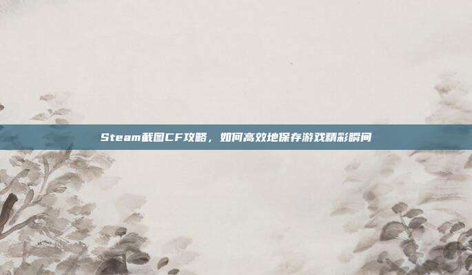 Steam截图CF攻略，如何高效地保存游戏精彩瞬间
