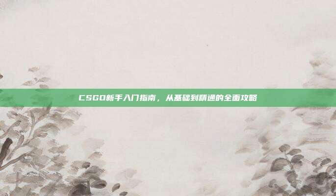 CSGO新手入门指南,从基础到精通的全面攻略