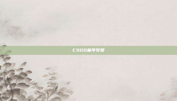 CSGO童年梦想