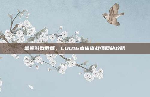 掌握游戏胜算，COD16本体查战绩网站攻略