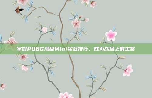 掌握PUBG满级Mini实战技巧,成为战场上的主宰