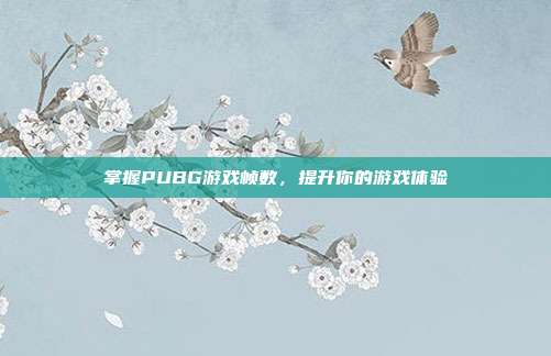 掌握PUBG游戏帧数,提升你的游戏体验
