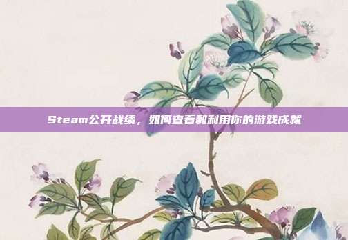 Steam公开战绩,如何查看和利用你的游戏成就