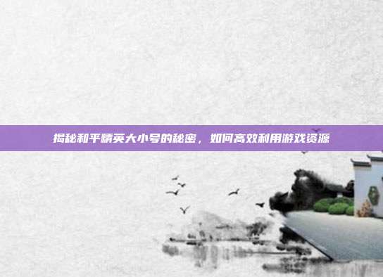 揭秘和平精英大小号的秘密,如何高效利用游戏资源