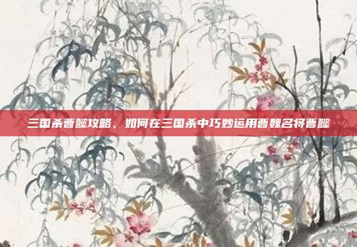 三国杀曹懿攻略,如何在三国杀中巧妙运用曹魏名将曹懿