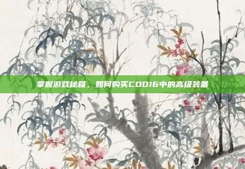 掌握游戏秘籍,如何购买COD16中的高级装备