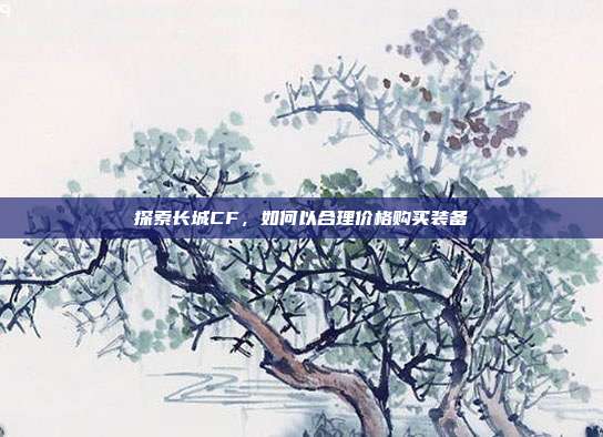 探索长城CF,如何以合理价格购买装备