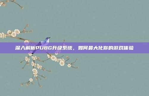 深入解析PUBG升级系统,如何最大化你的游戏体验