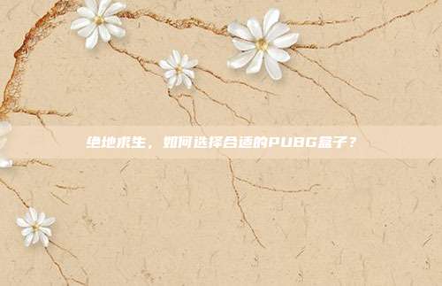 绝地求生，如何选择合适的PUBG盒子？