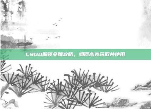 CSGO解锁令牌攻略,如何高效获取并使用