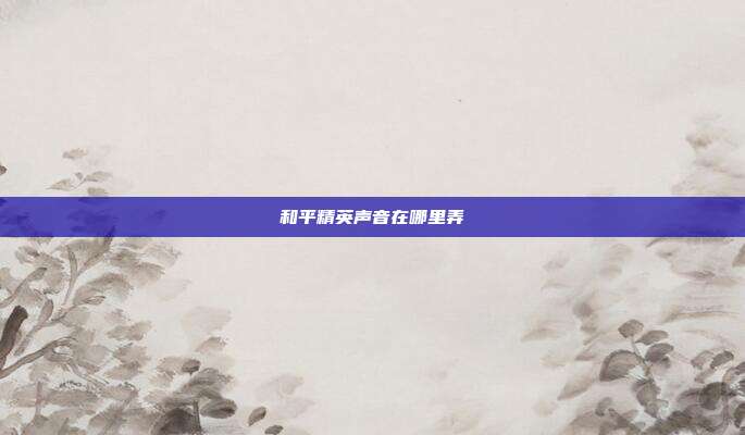和平精英声音在哪里弄
