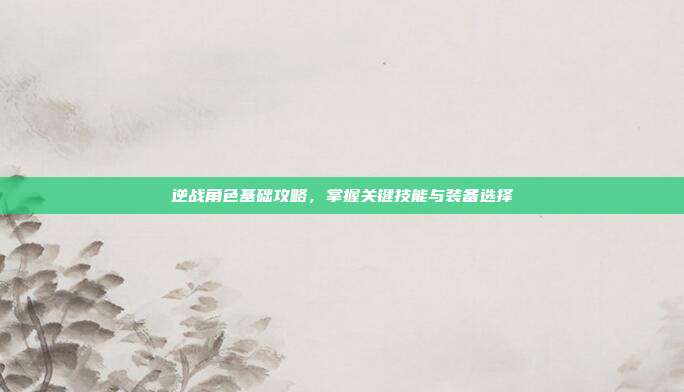 逆战角色基础攻略,掌握关键技能与装备选择