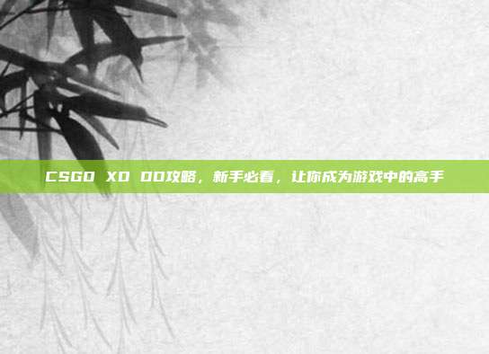 CSGO XD DD攻略,新手必看,让你成为游戏中的高手