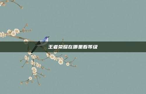 王者荣耀在哪里看等级