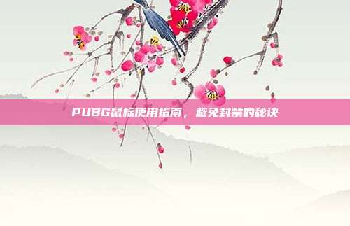 PUBG鼠标使用指南,避免封禁的秘诀