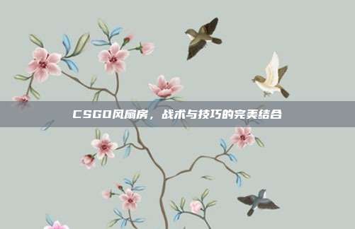 CSGO风扇房，战术与技巧的完美结合