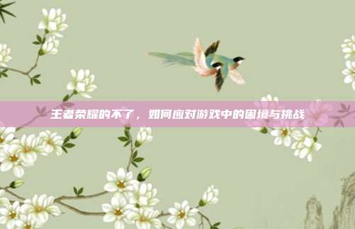 王者荣耀的不了,如何应对游戏中的困境与挑战