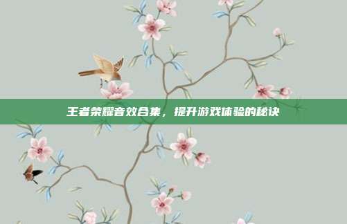 王者荣耀音效合集,提升游戏体验的秘诀