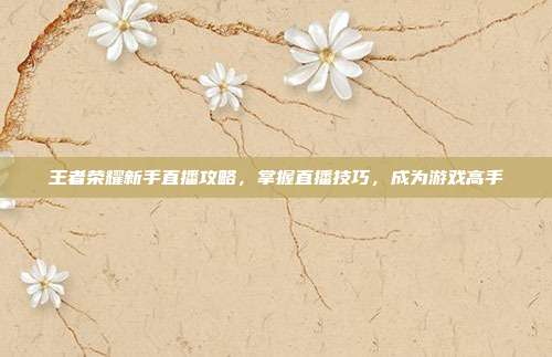 王者荣耀新手直播攻略,掌握直播技巧,成为游戏高手