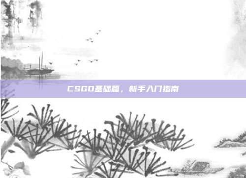 CSGO基础篇,新手入门指南