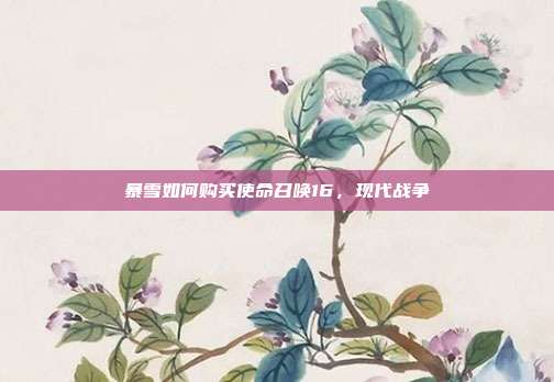 暴雪如何购买使命召唤16,现代战争