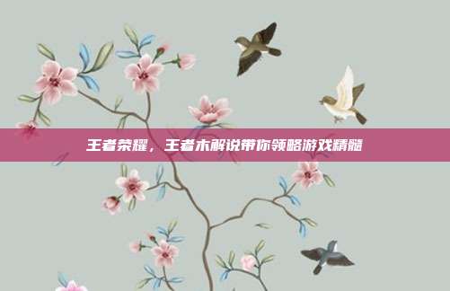 王者荣耀,王者木解说带你领略游戏精髓