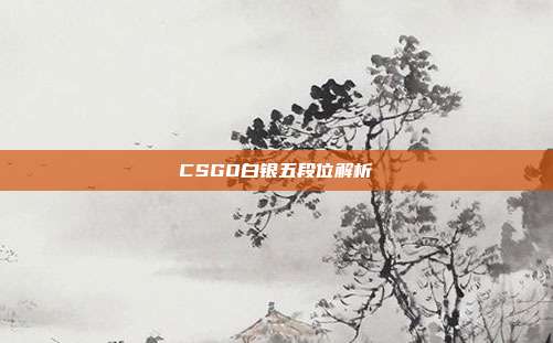 CSGO白银五段位解析