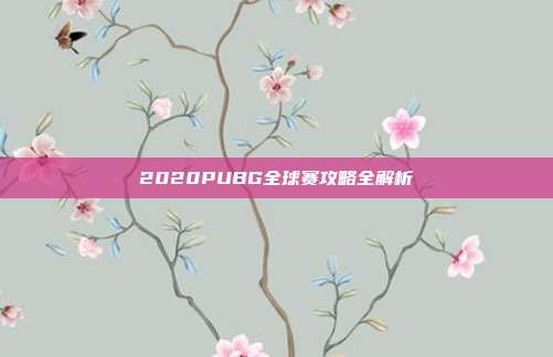 2020PUBG全球赛攻略全解析