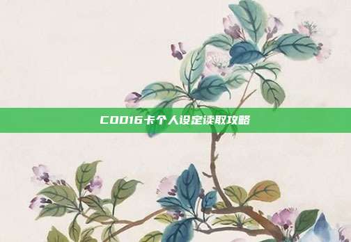 COD16卡个人设定读取攻略