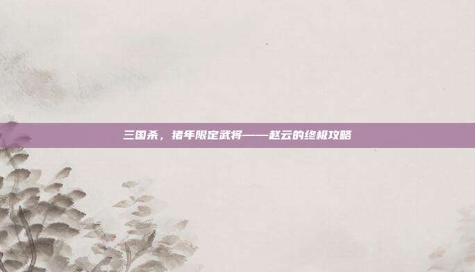 三国杀,猪年限定武将——赵云的终极攻略