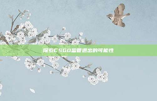 探索CSGO监管退出的可能性