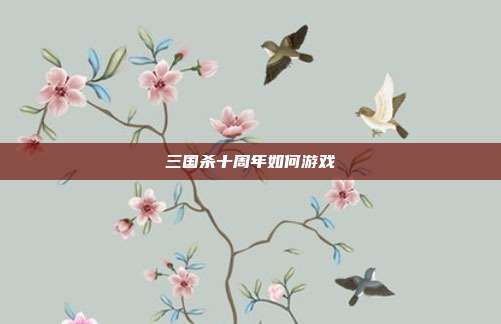 三国杀十周年如何游戏