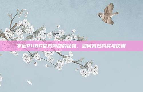 掌握PUBG官方商店的秘籍,如何高效购买与使用