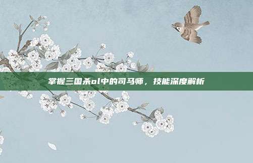 掌握三国杀ol中的司马师,技能深度解析