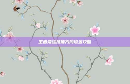 王者荣耀技能方向设置攻略