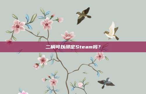 二柄可以绑定Steam吗?