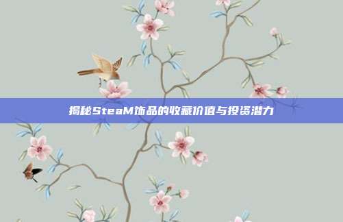 揭秘SteaM饰品的收藏价值与投资潜力