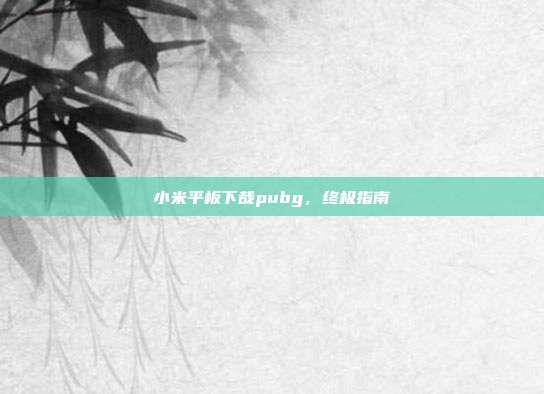 小米平板下哉pubg,终极指南