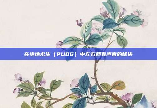 在绝地求生(PUBG)中左右都有声音的秘诀