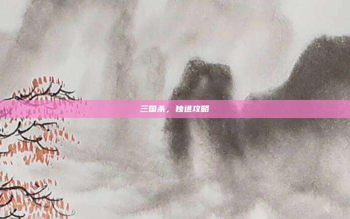 三国杀,独进攻略