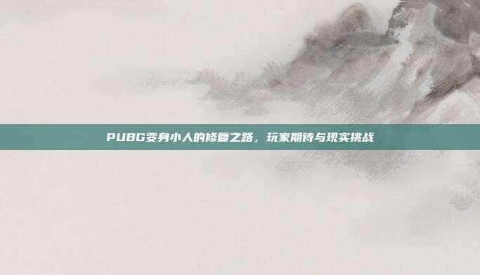 PUBG变身小人的修复之路,玩家期待与现实挑战