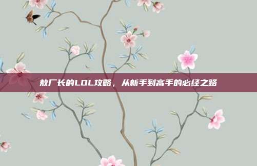 敖厂长的LOL攻略，从新手到高手的必经之路