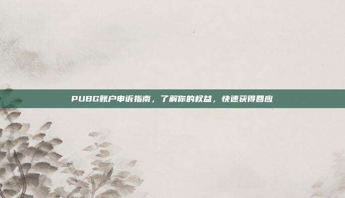 PUBG账户申诉指南，了解你的权益，快速获得回应