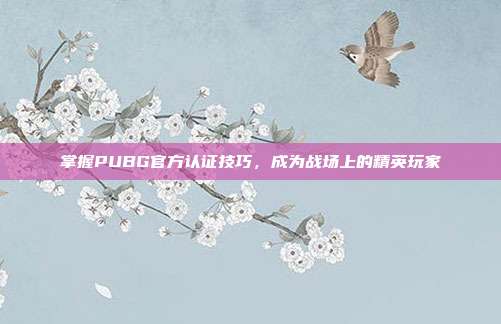 掌握PUBG官方认证技巧，成为战场上的精英玩家