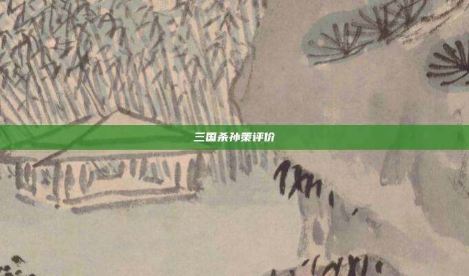 三国杀孙策评价